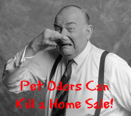 Pet Odors Can Kill a Home Sale!